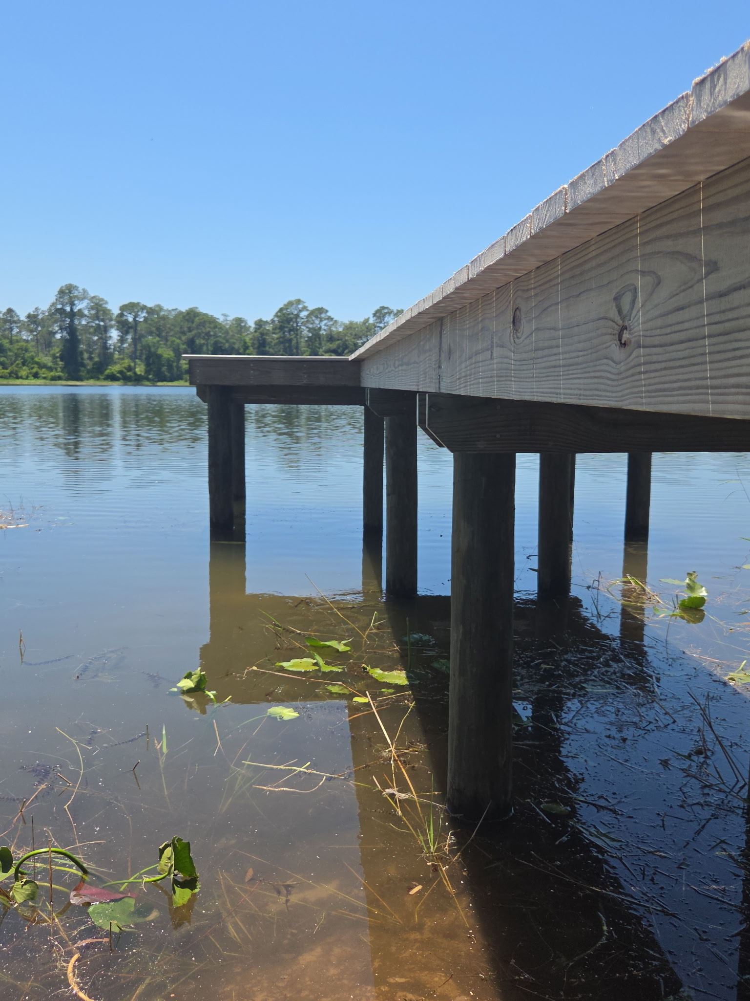 3955397351471907034 - JSC Contracting Inc Dock