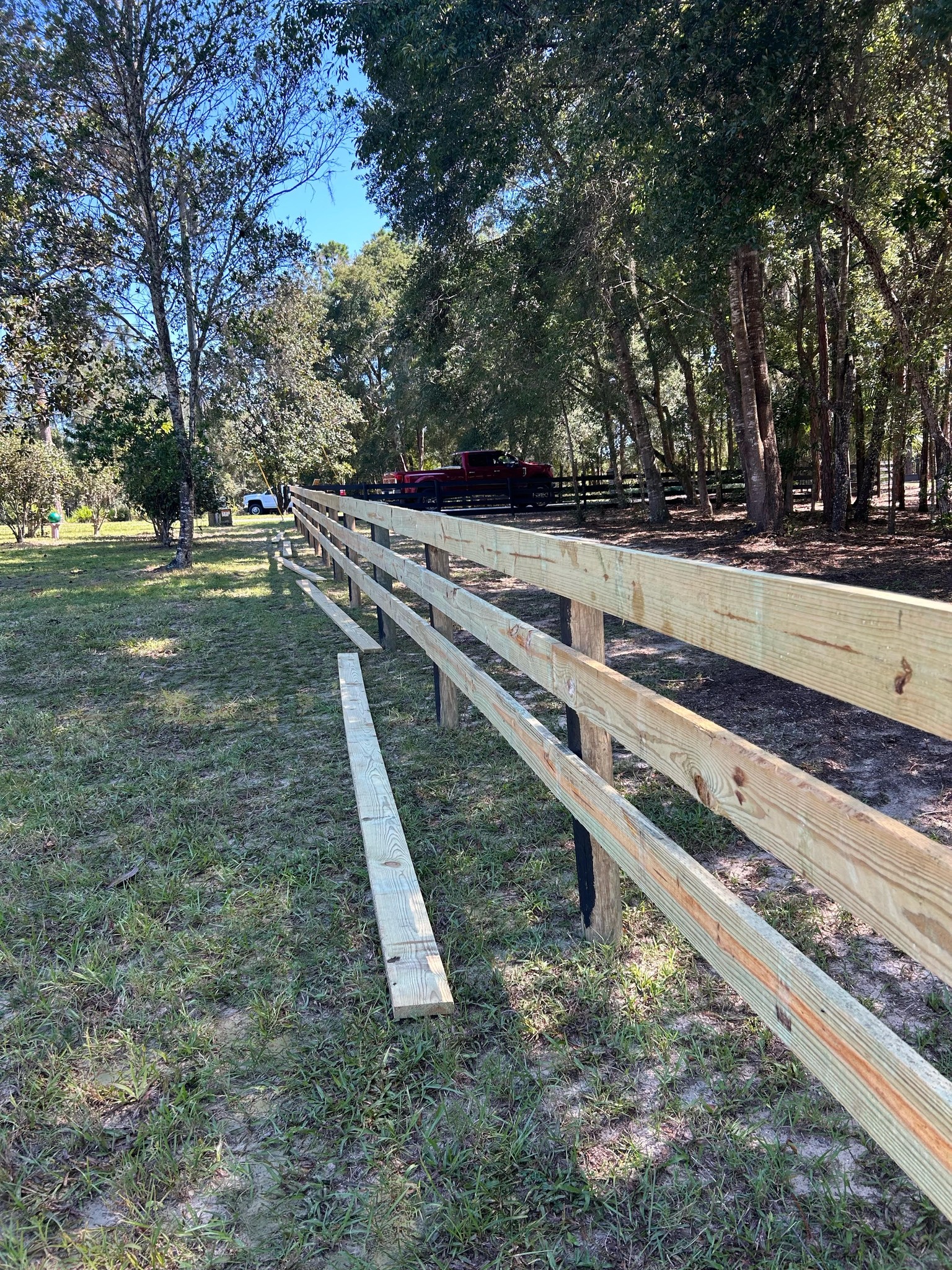 Wooden fence extends along a grassy park area with many trees and a bright blue sky behind it.