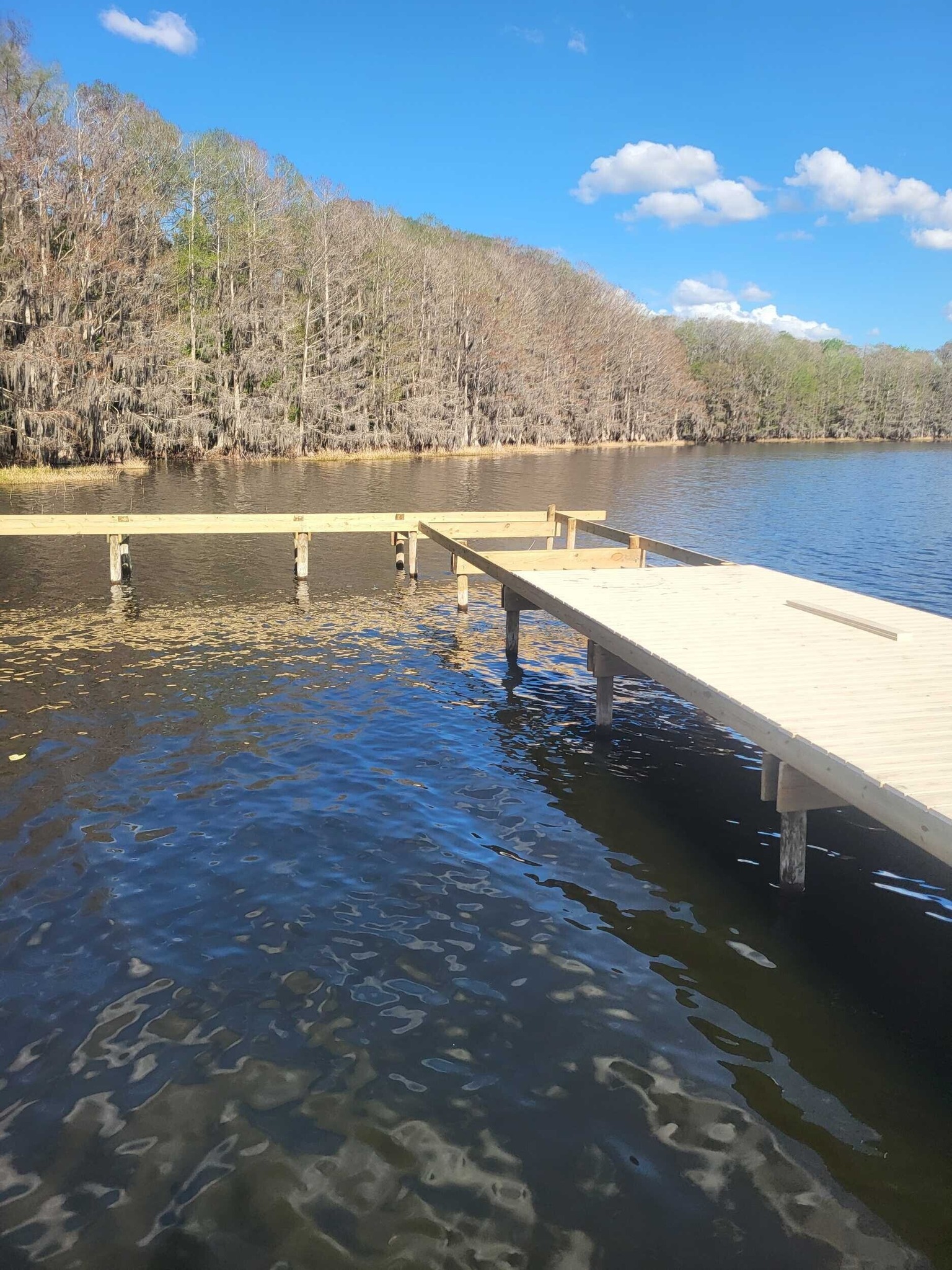 648665265_789763157505849_441686739813581386_n - JSC Contracting Inc Wooden dock extending into a calm lake with a tree-lined shore and blue sky.
